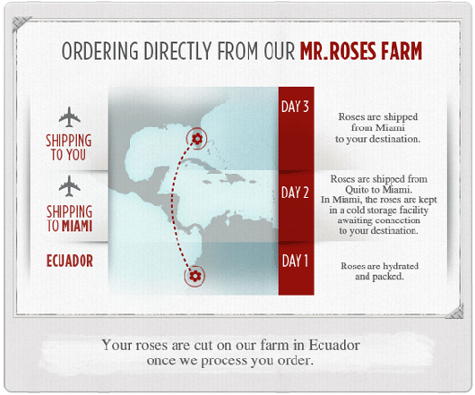 MR-Roses-Shipping-Process.gif