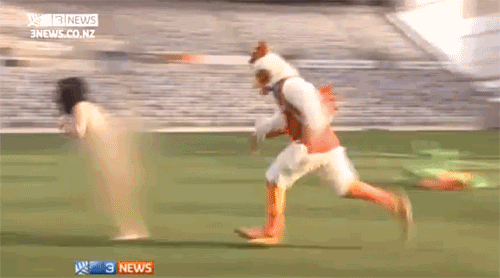chicken-tackles-rugby-streaker-rugby-tackle-hit-gifs.gif