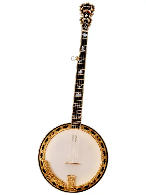 deering-texas-5-string-banjo.jpg
