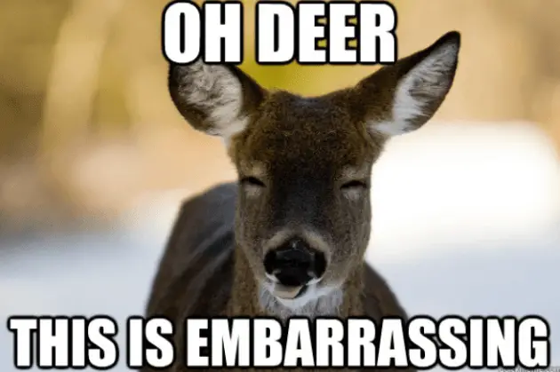 Oh-Deer-This-is-Embarrassing-Meme.png