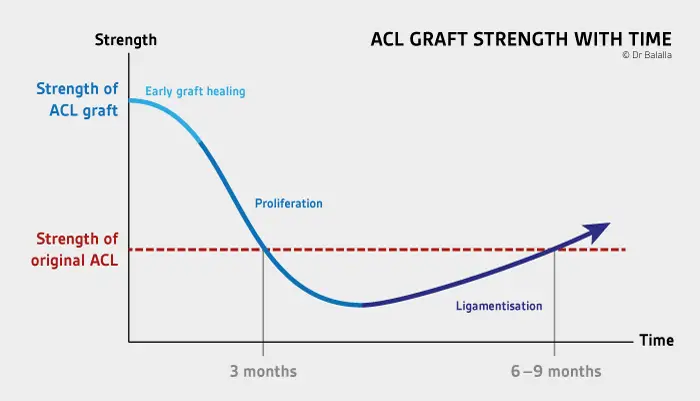 ACL-strength-v2.jpg